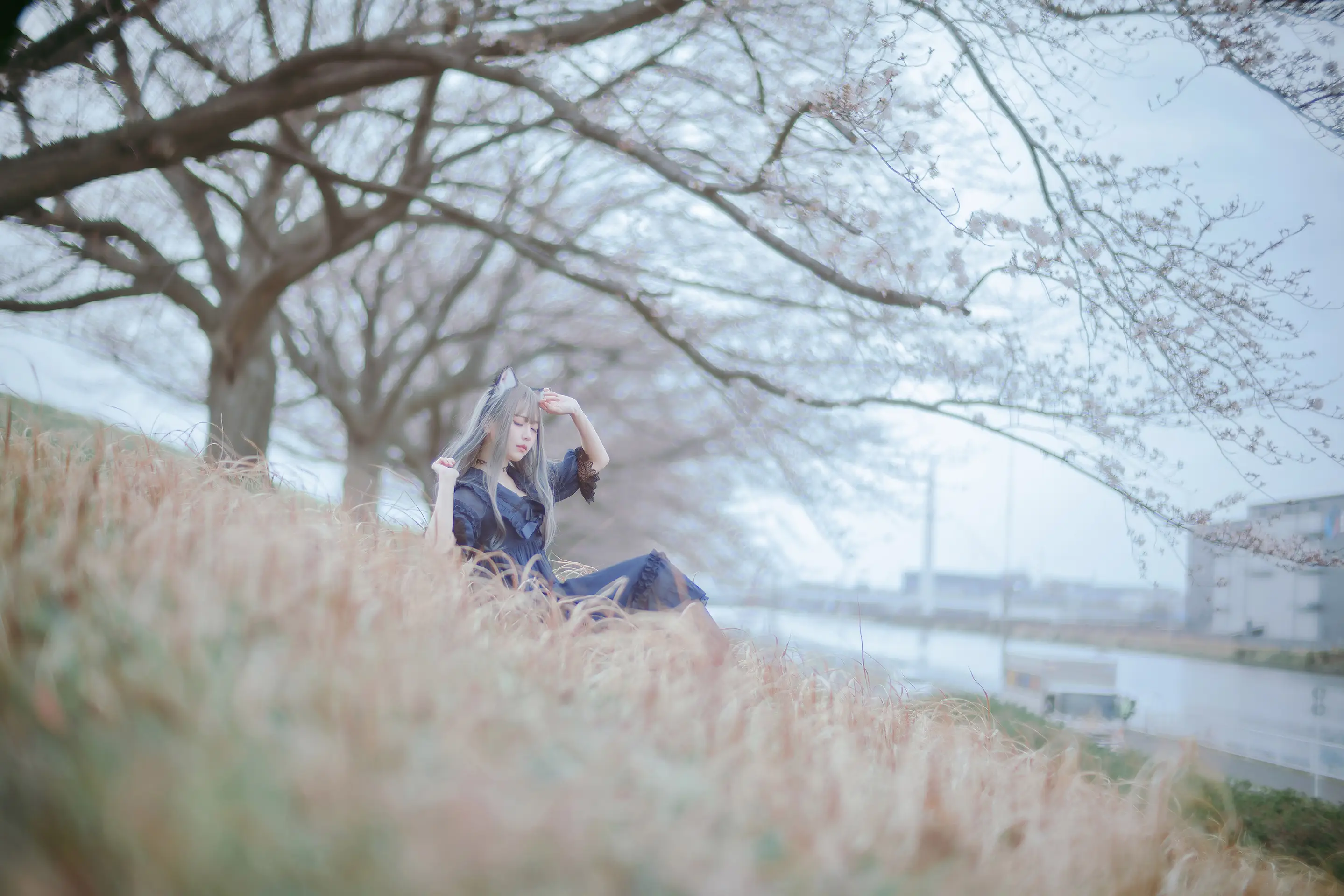 043 – [Ely] Sakura桜 2021-AQA.CC