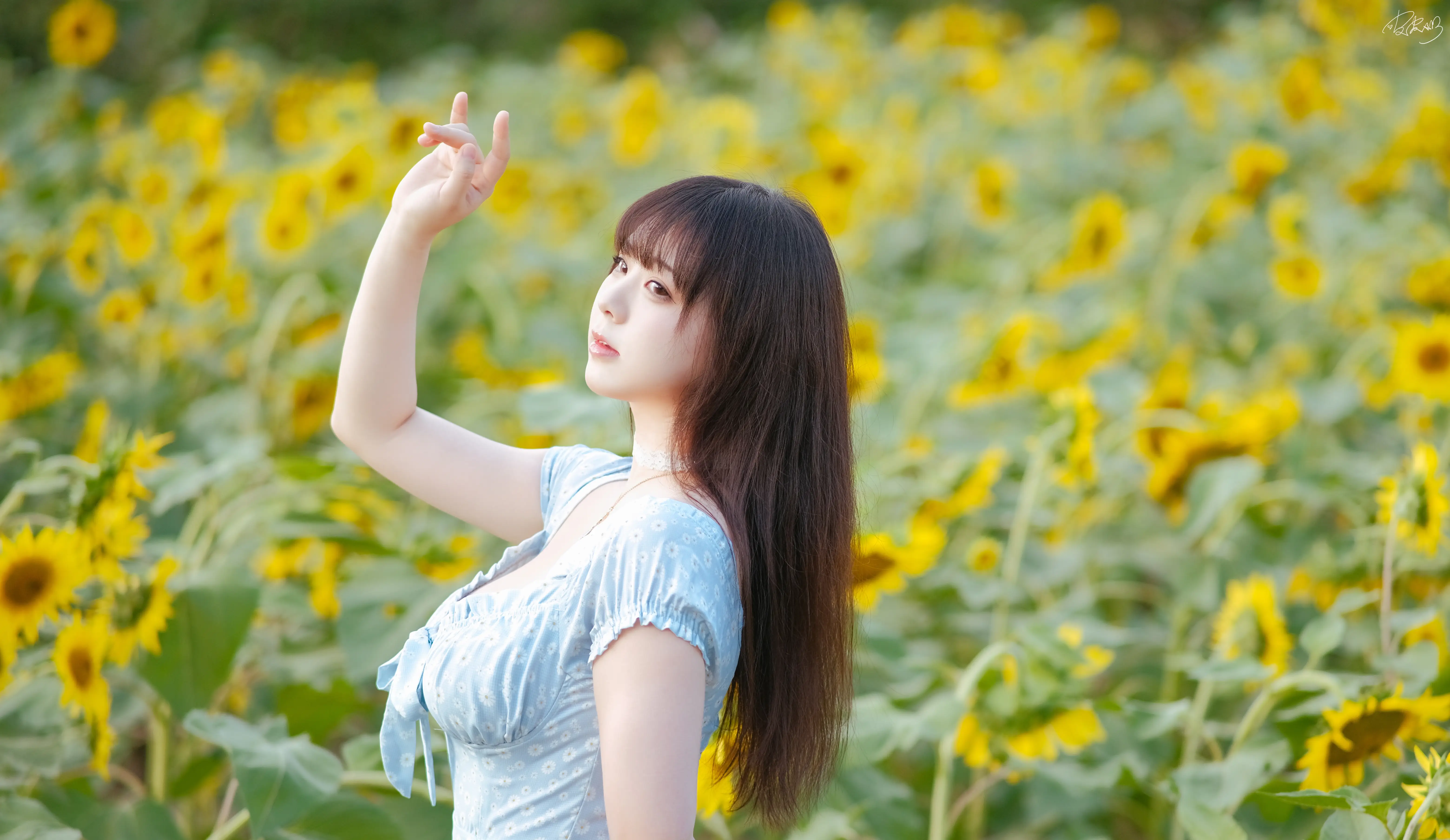 图片[2]-皮皮奶可可爱了啦 – NO.055 彼女向日葵[35P-251.6M]-AQA.CC