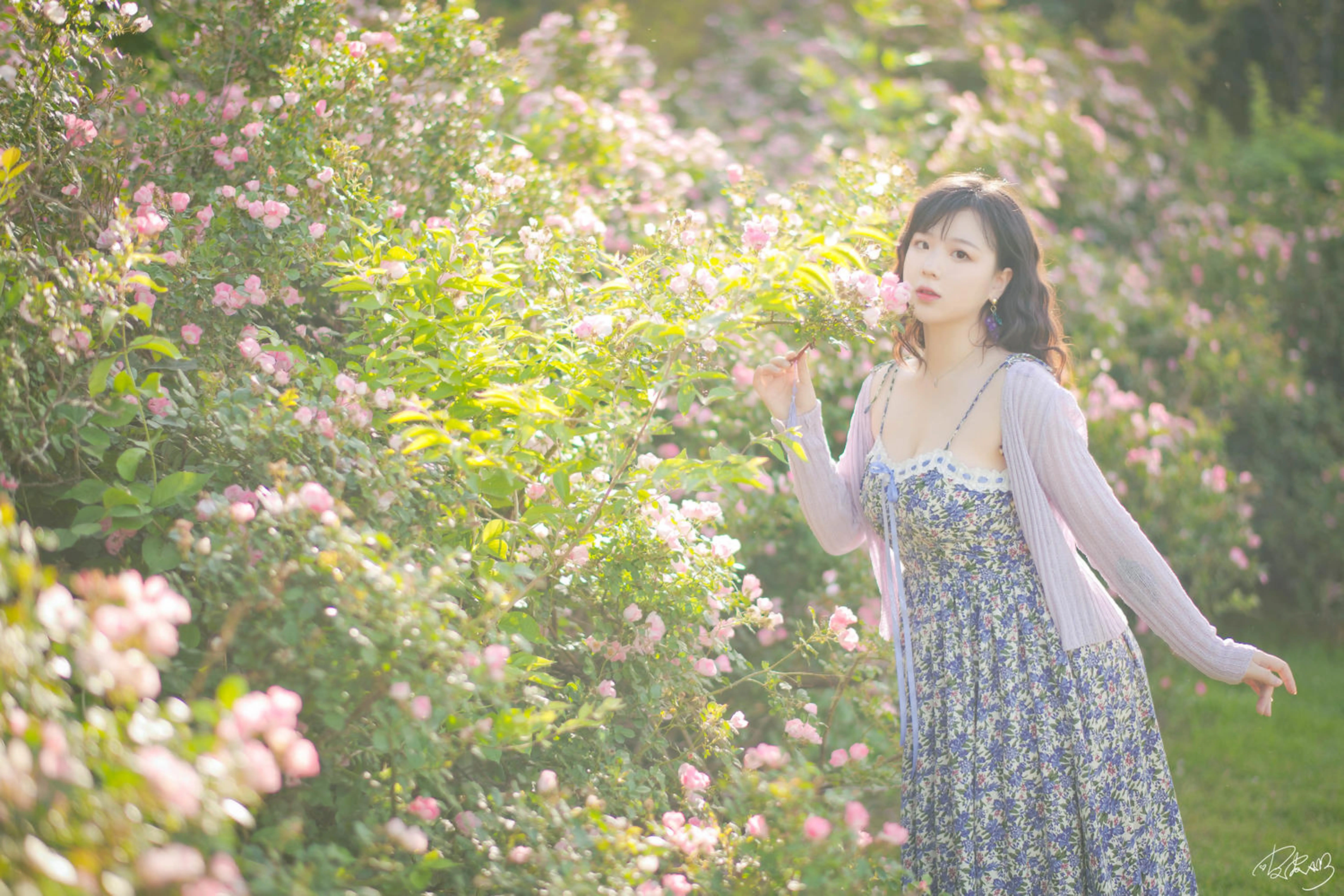 皮皮奶可可爱了啦 - NO.064 蔷薇花[37P-787.6M]-AQA.CC