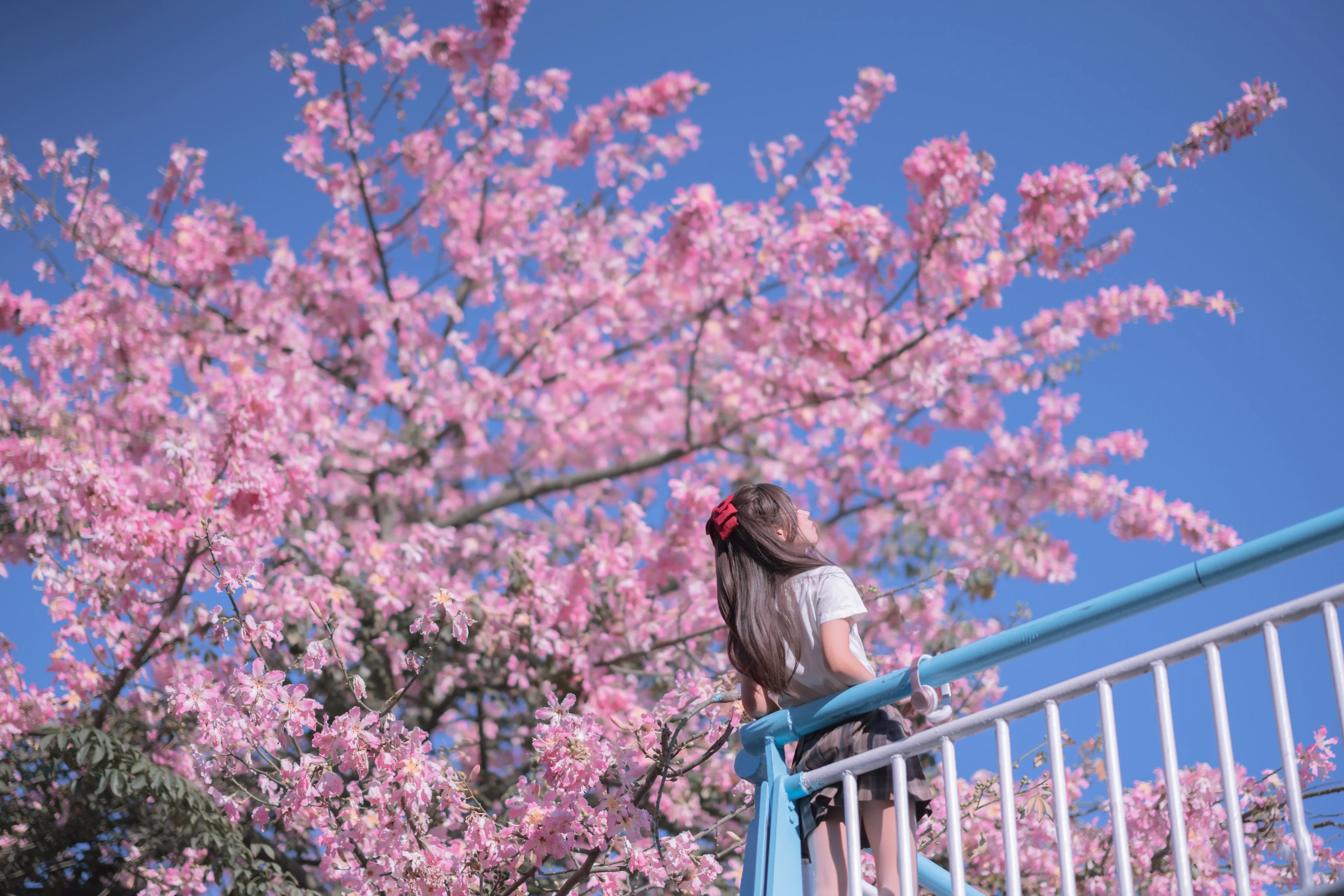 萌芽儿o0 – NO.027 异木棉花[27P-225.3M]-AQA.CC